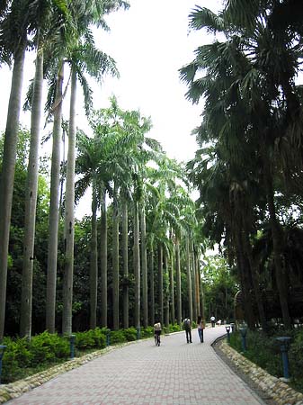 Foto Botanischer Garten