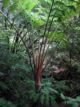 Foto Yangminshan