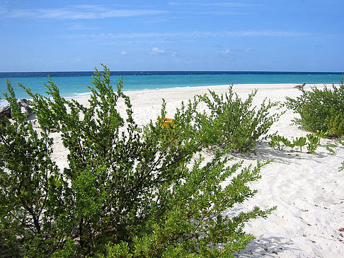 Foto Blick auf das Meer - 