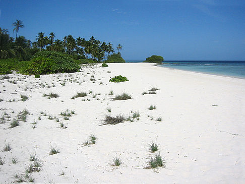 Fotos Der weiße Sandstrand | 