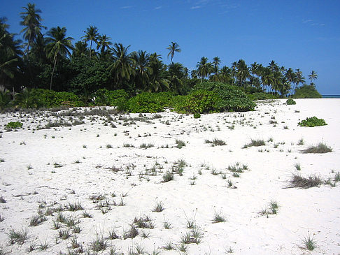 Der weiße Sandstrand Foto 