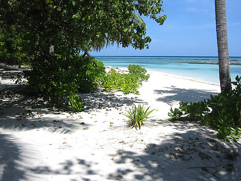 Fotos Der weiße Sandstrand | 