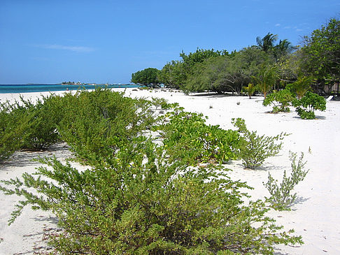 Foto Der weiße Sandstrand - 