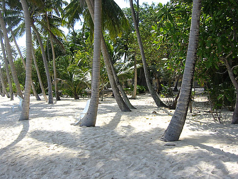 Fotos Der weiße Sandstrand | 