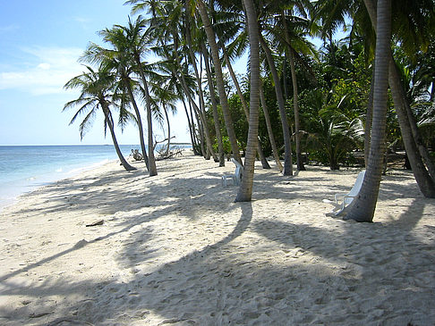 Der weiße Sandstrand Foto 