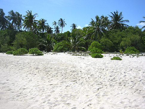 Fotos Der weiße Sandstrand