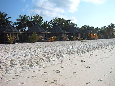 Foto Der weiße Sandstrand der Malediven - 