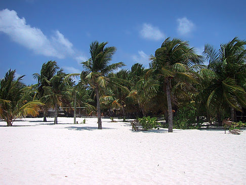 Foto Der weiße Sandstrand der Malediven - 