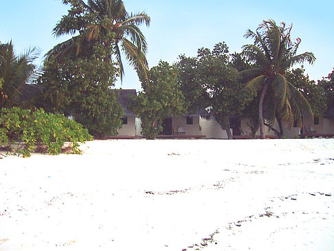 Foto Der weiße Sandstrand der Malediven