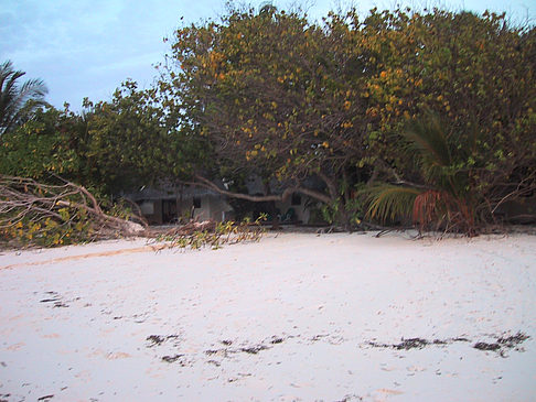 Fotos Der weiße Sandstrand der Malediven