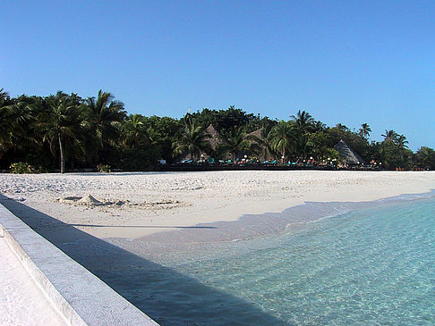 Foto Der weiße Sandstrand der Malediven