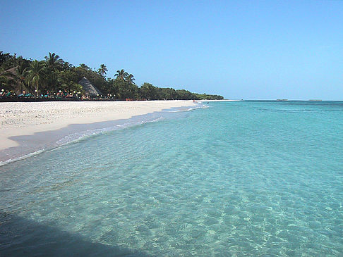 Fotos Der weiße Sandstrand der Malediven