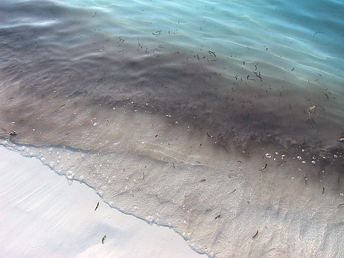 Fotos Der weiße Sandstrand der Malediven