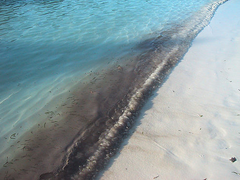 Foto Der weiße Sandstrand der Malediven