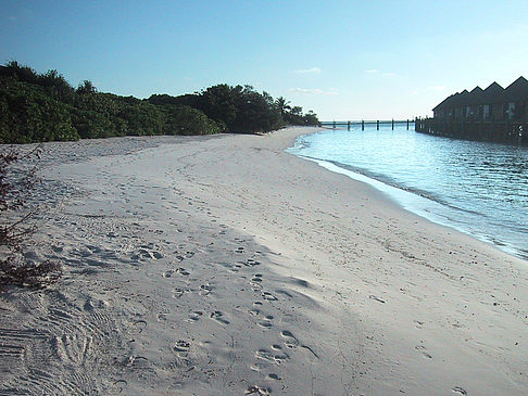 Fotos Der weiße Sandstrand der Malediven