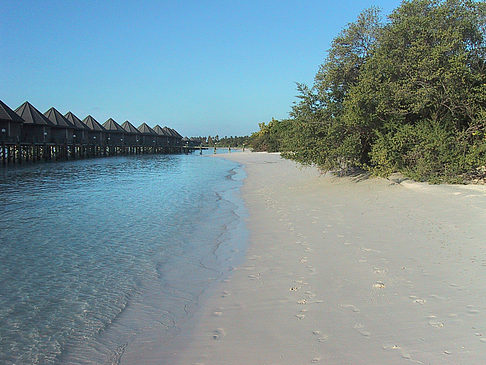 Foto Der weiße Sandstrand der Malediven