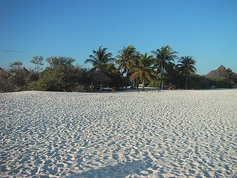 Fotos Der weiße Sandstrand der Malediven | 