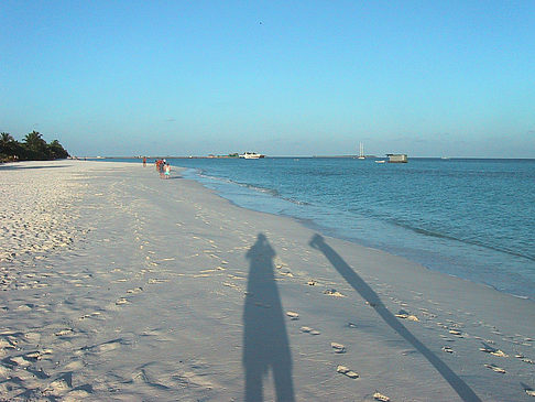 Foto Der weiße Sandstrand der Malediven - 