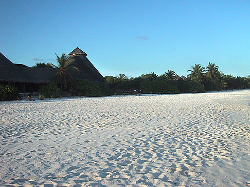 Foto Der weiße Sandstrand der Malediven