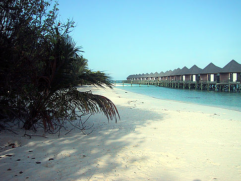 Der weiße Sandstrand der Malediven Foto 