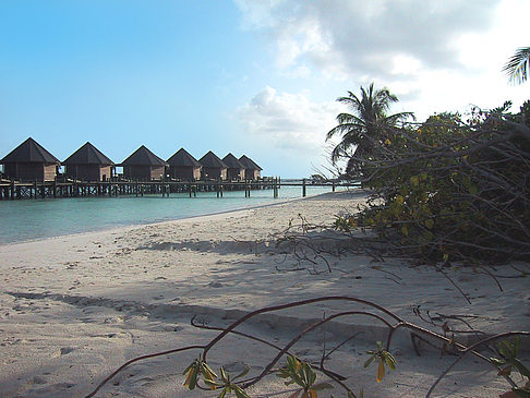 Foto Der weiße Sandstrand der Malediven