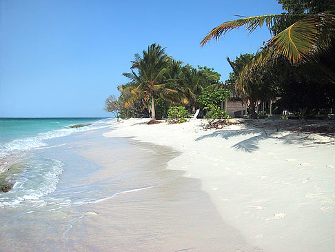 Foto Der weiße Sandstrand der Malediven - 