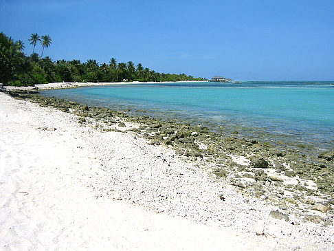 Felsiger Strand Fotos