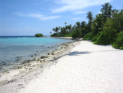 Fotos Felsiger Strand | 