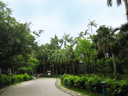 Botanischer Garten Fotos