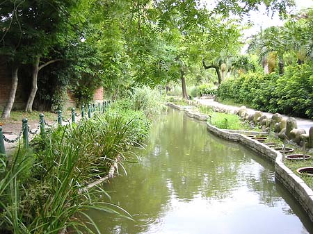 Botanischer Garten Foto 