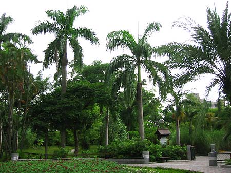 Botanischer Garten