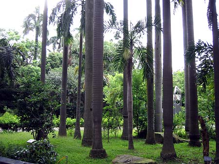 Foto Botanischer Garten