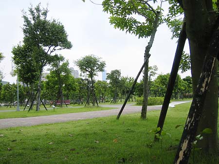 Fotos Daan Park | Taipeh