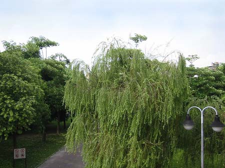 Fotos Daan Park | Taipeh