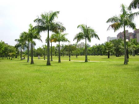 Fotos Daan Park | Taipeh