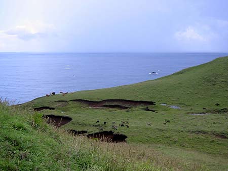 Green Island Foto 