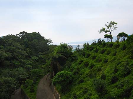 Juming Museum Fotos