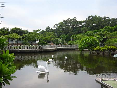 Juming Museum Foto 