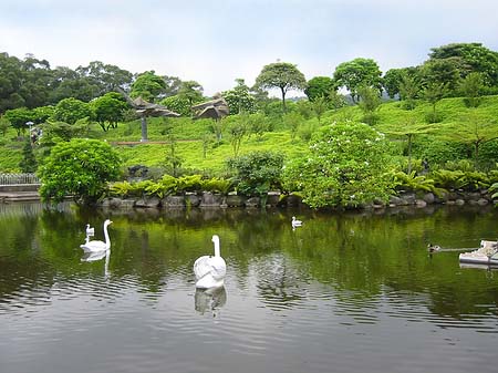 Foto Juming Museum - Taipeh