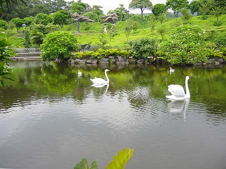 Juming Museum Foto 