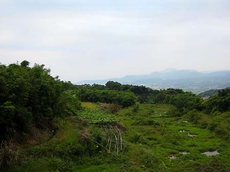 Juming Museum